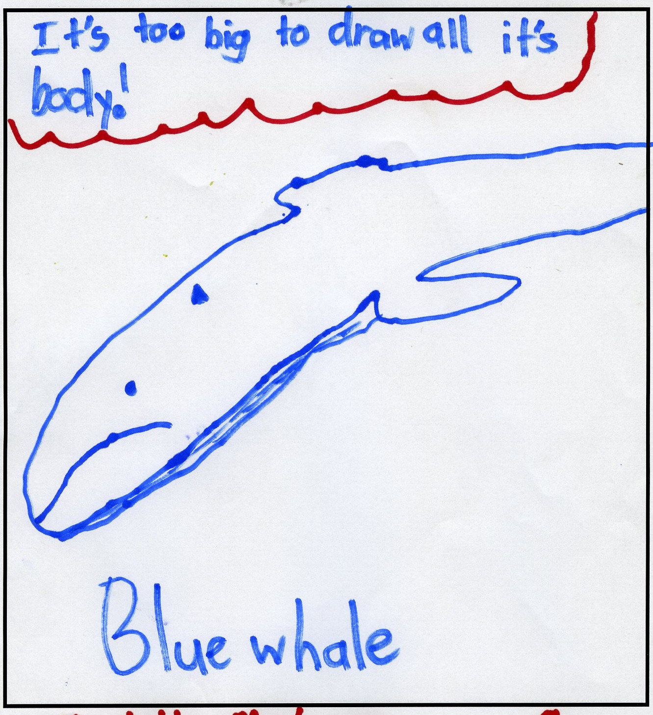 'Blue Whale' by Charlotte McLean, Age 9.