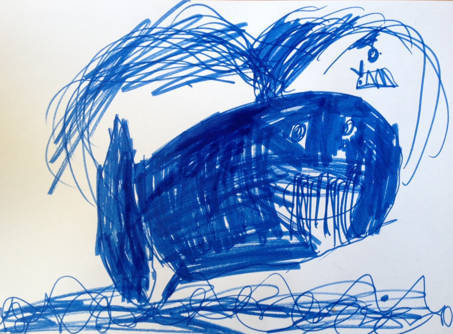 'A humpback whale spraying out water' by Frances Williams, Age 6.