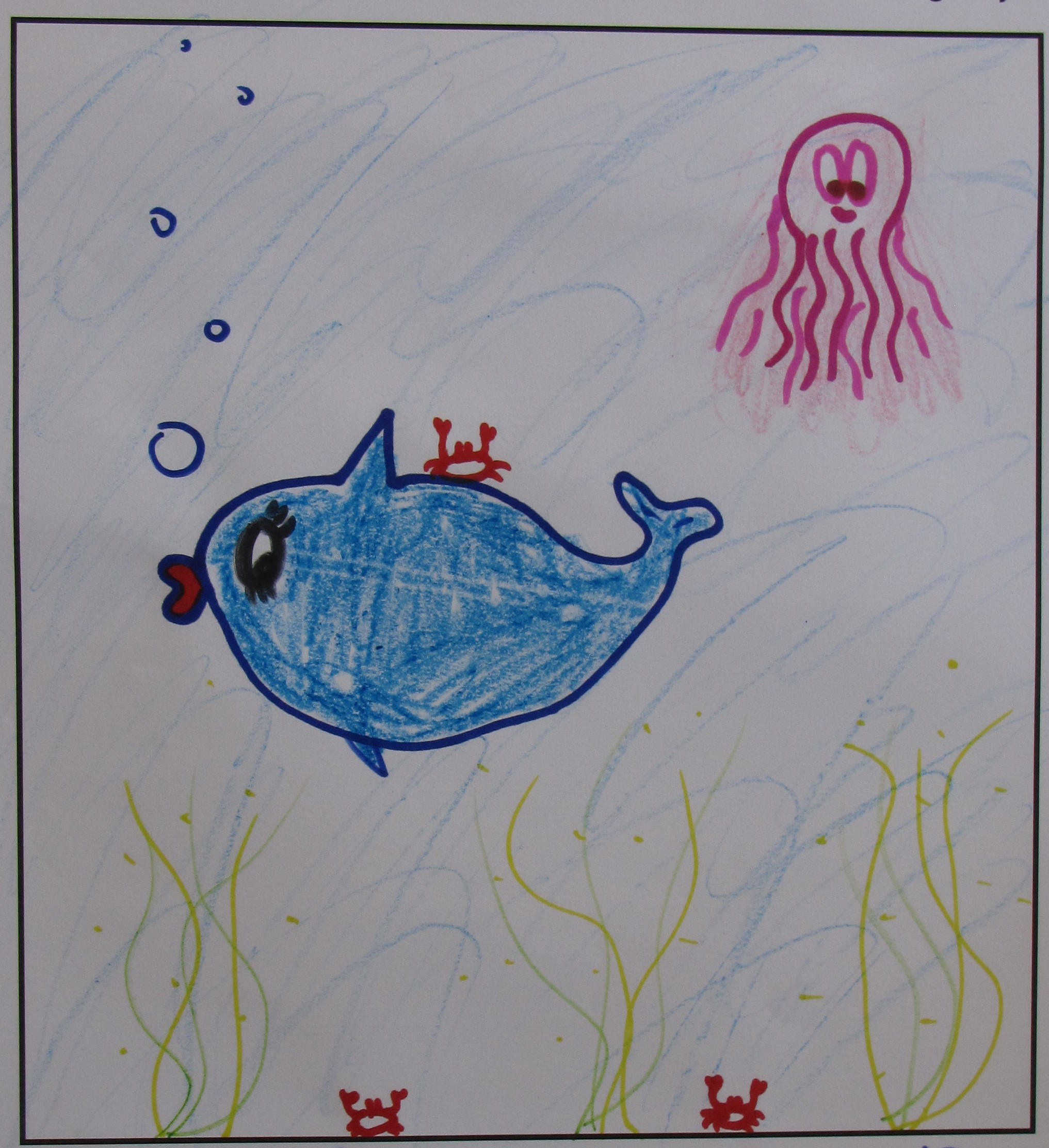 'Fabulicious Whale' by Ashlee Drummy, Age 13.